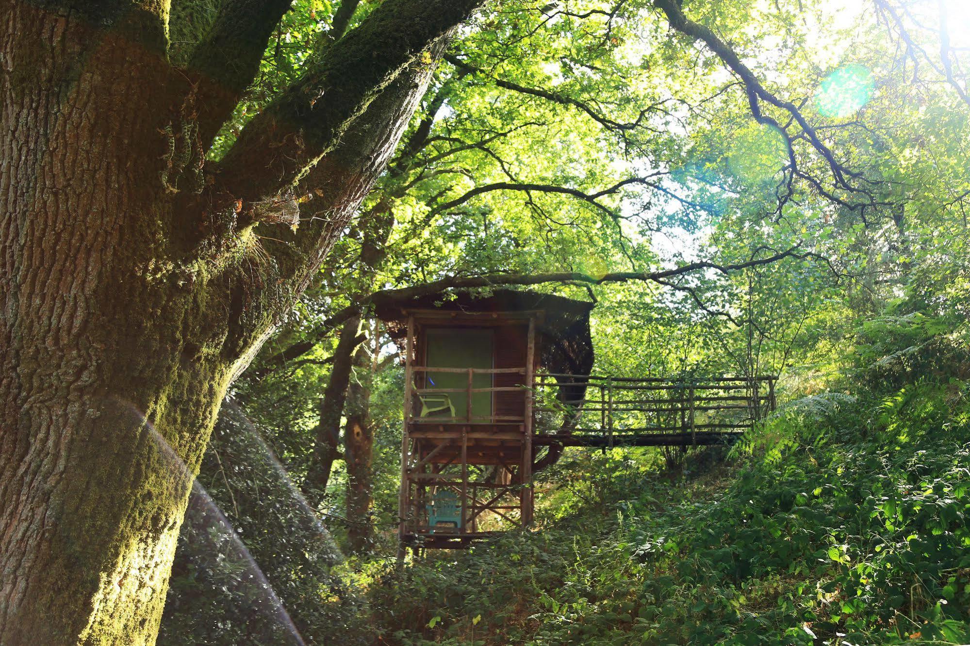 Terragora Lodges - Hébergement atypique Les Épesses Extérieur photo